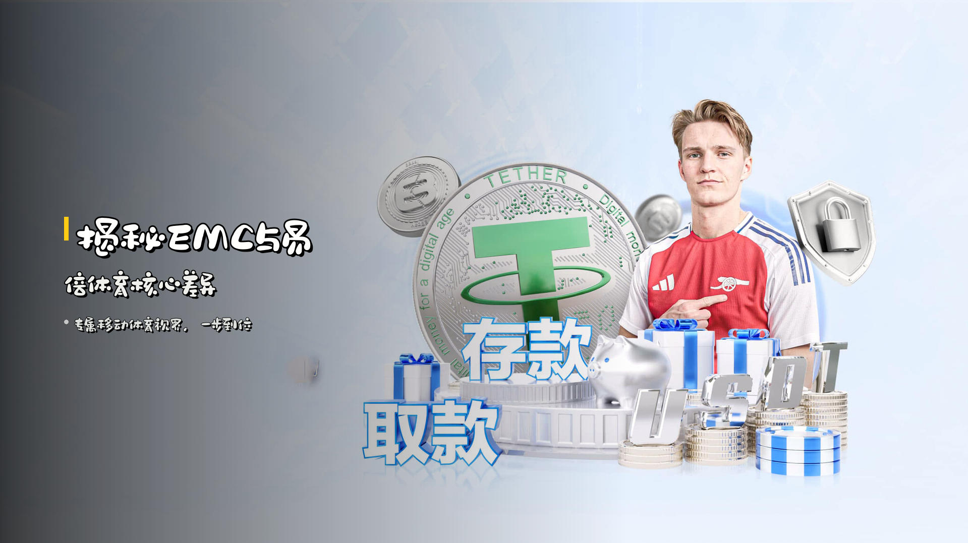 揭秘<strong>EMC与易倍体育</strong>核心差异